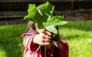 Creating Transparency About Our Climate Protection Commitment