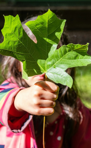Creating Transparency About Our Climate Protection Commitment
