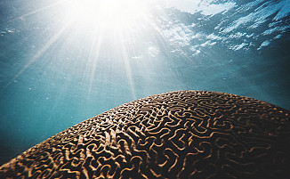 Large majority expect noticeable changes through AI soon