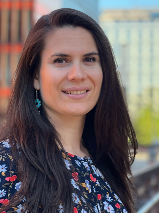 Dr Albana Topi